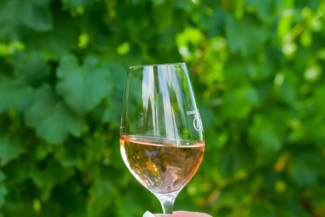1/2 day, private wine tour, van from Saint Tropez - Timing, meeting point, and practical planning