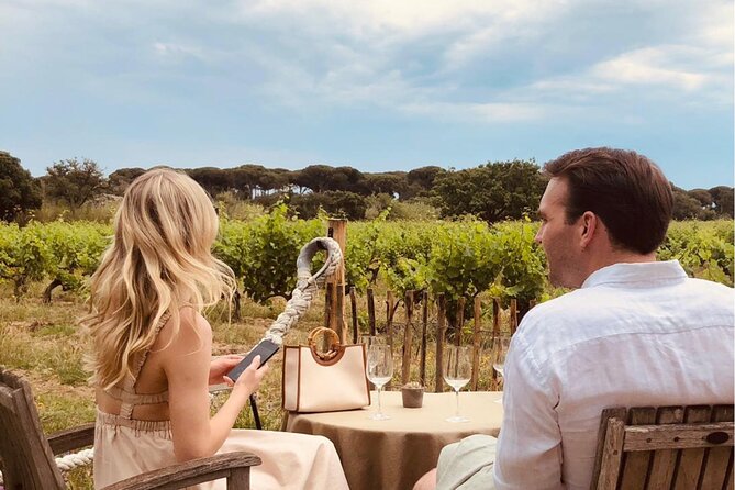 1/2 day, private wine tour, van from Saint Tropez - Why two estates work better than one
