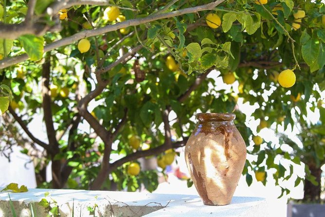 3-Course Organic Dinner in Garden with Views of French Riviera - Who will enjoy this Nice experience most