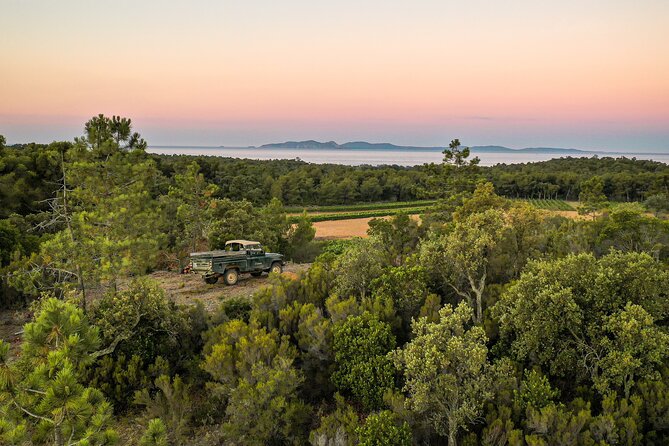 4x4 tour in a winery followed by a tasting - A vineyard ride with a Provençal point of view