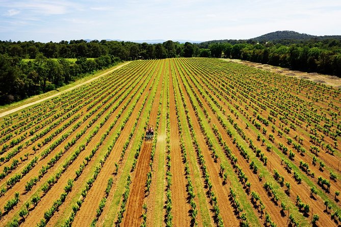 4x4 tour in a winery followed by a tasting - Why the nine-person limit matters