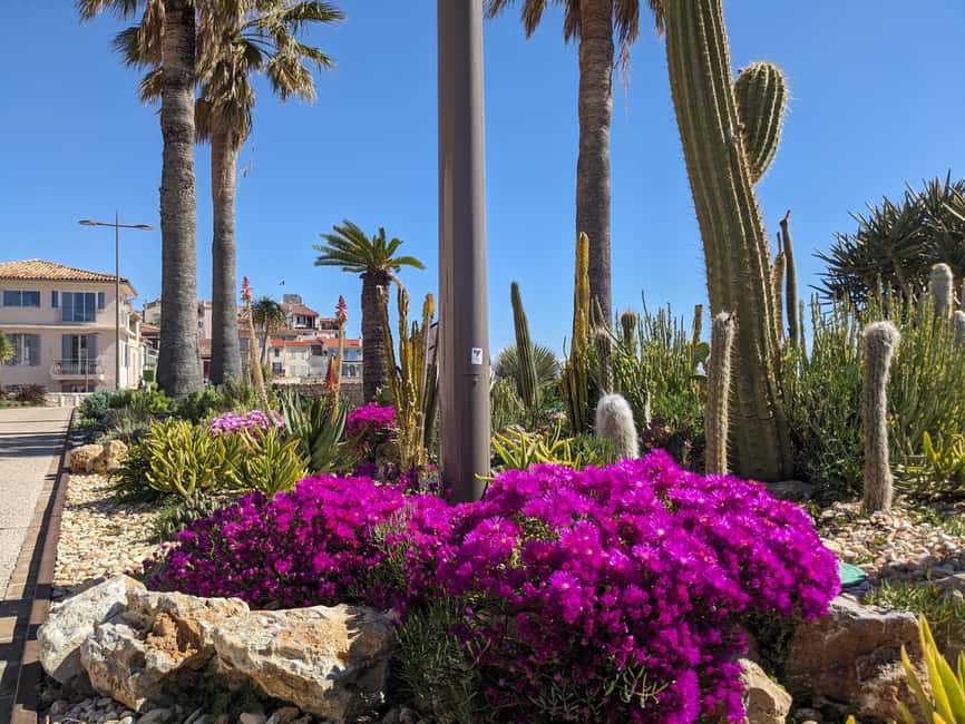 Antibes: 2 hour walking tour in the old town - Marché Provençal: the sensory center of the walk
