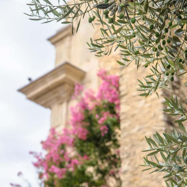 Antibes: Express Walk with a Local in 60 minutes - A fast way to get your bearings in Antibes