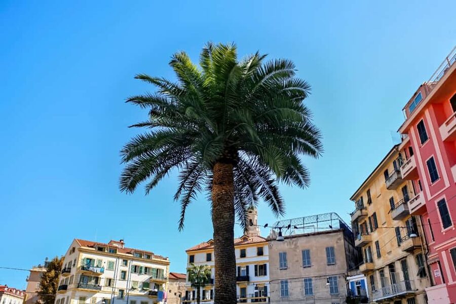 Antibes: Express Walk with a Local in 60 minutes - Walking the ramparts beside the sea