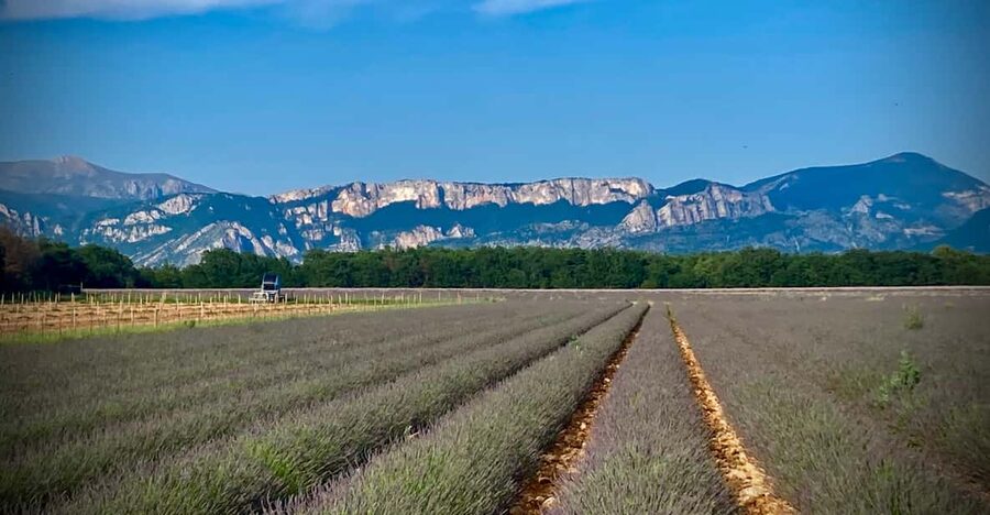 Bespoke Luxury Sightseeing Experiences - The Charming route through hill villages and Grasse