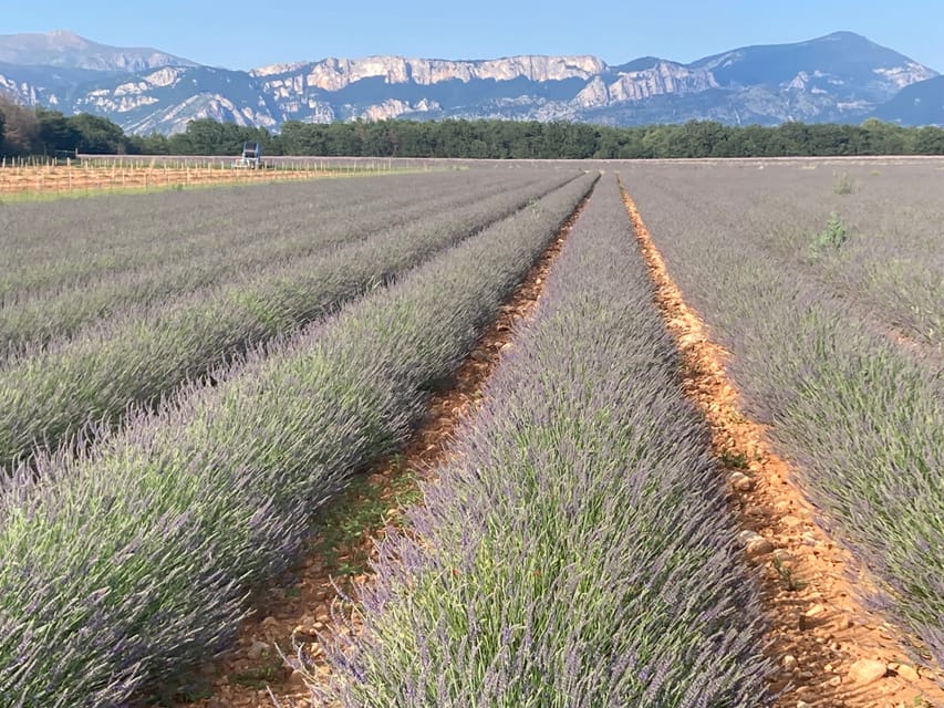 Bespoke Luxury Sightseeing Experiences - Extra choices for an active or slower day