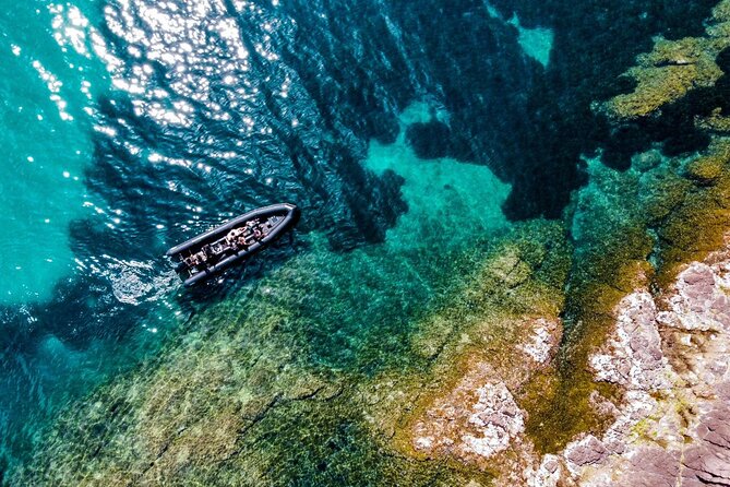 Boat excursion - Cannes Esterel Coves Insight – 1H30 - What the Black Tender feels like on the water