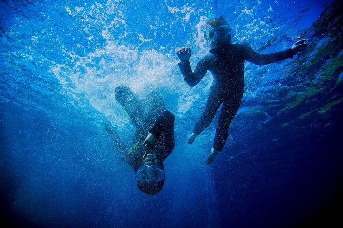 Boat trip and snorkeling in Villefranche - sur - Mer - What You See Below the Surface