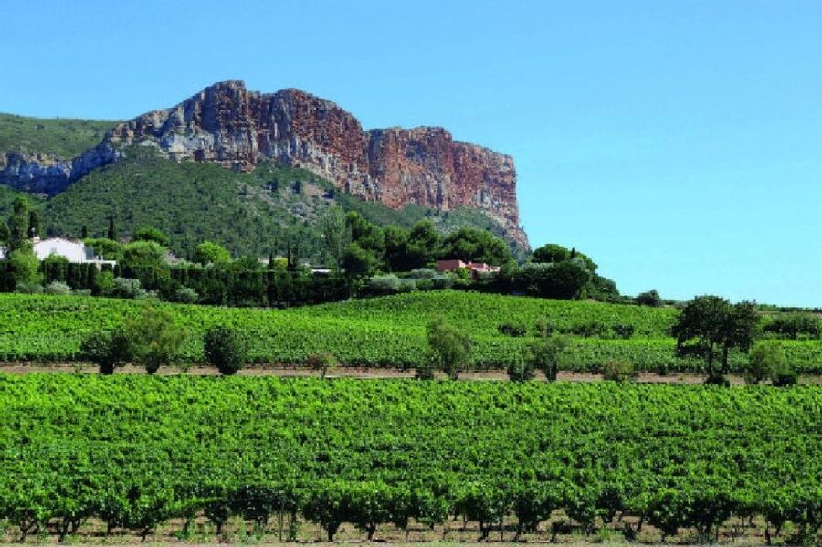 Calanques of Cassis, Aix-en-Provence & Wine Tasting Day Tour - A long Provence day with two very different moods