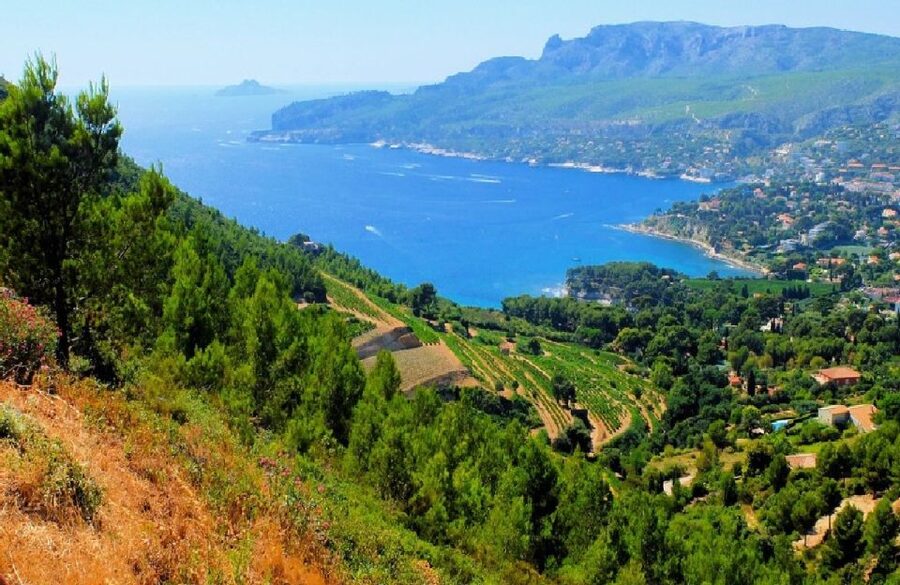 Calanques of Cassis, Aix-en-Provence & Wine Tasting Day Tour - Cassis and the small port