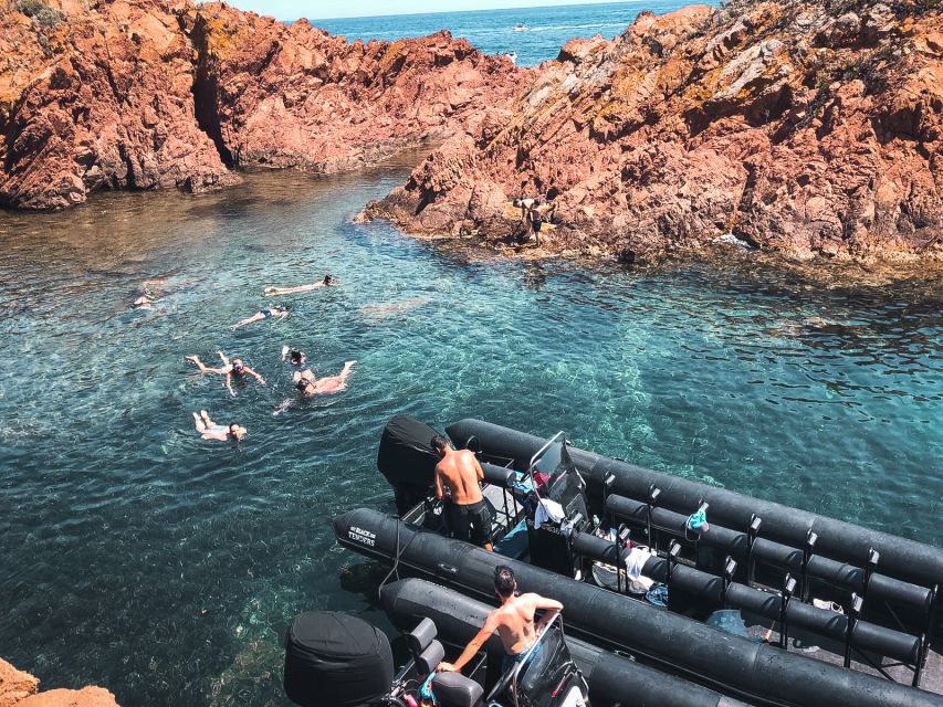 Cannes: 2.5-Hour Esterel Calanques Boat Excursion - Swimming and snorkeling stops