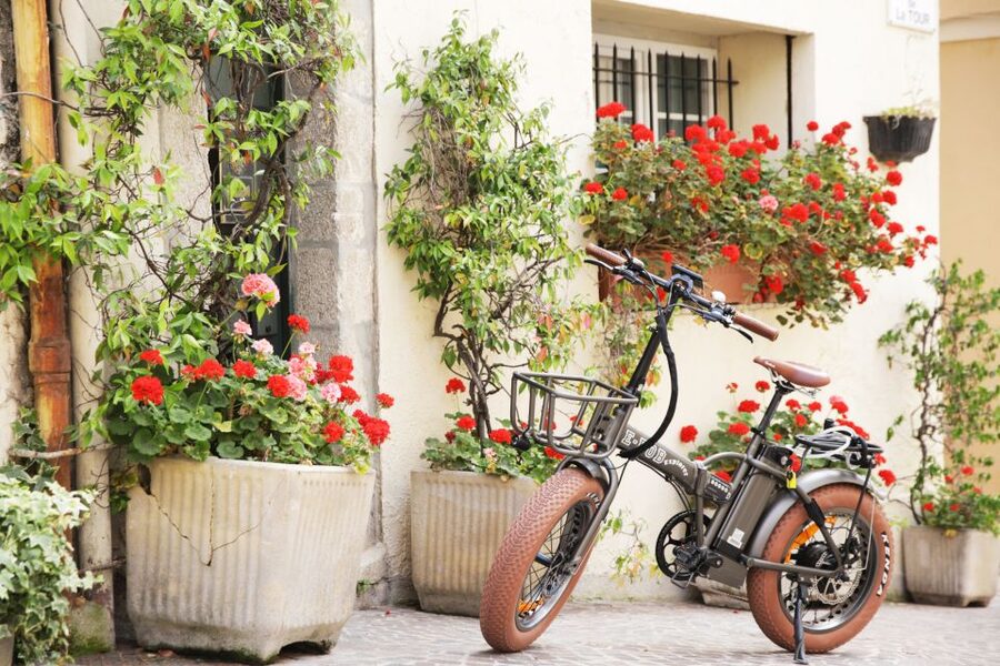 Cannes 2-Hour E-bike Tour - Small details that make the morning work better