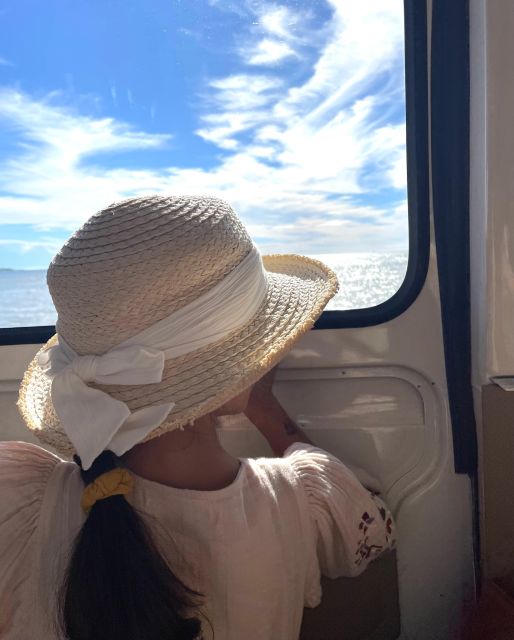 Cannes 2 Hours : Privat City Tour in a French Vintage Bus - Who should book this Cannes tour?