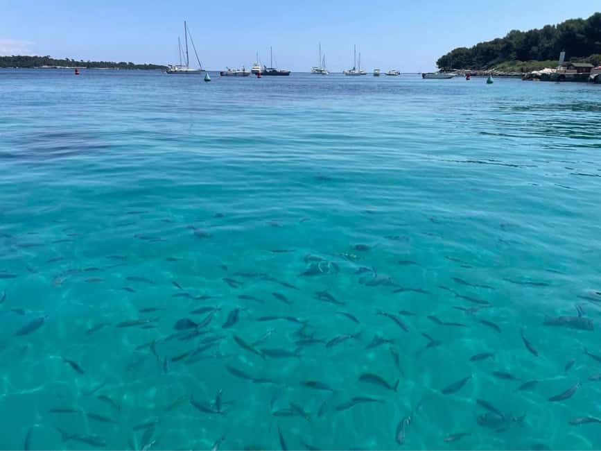 Cannes: Boat trip without a license to the Lerins Islands - Théoule-sur-Mer closes the coastal loop