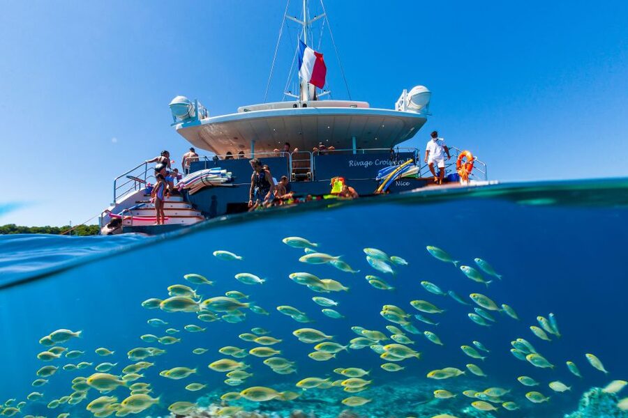 Cannes: Half-Day Catamaran Cruise - Key points to know before booking