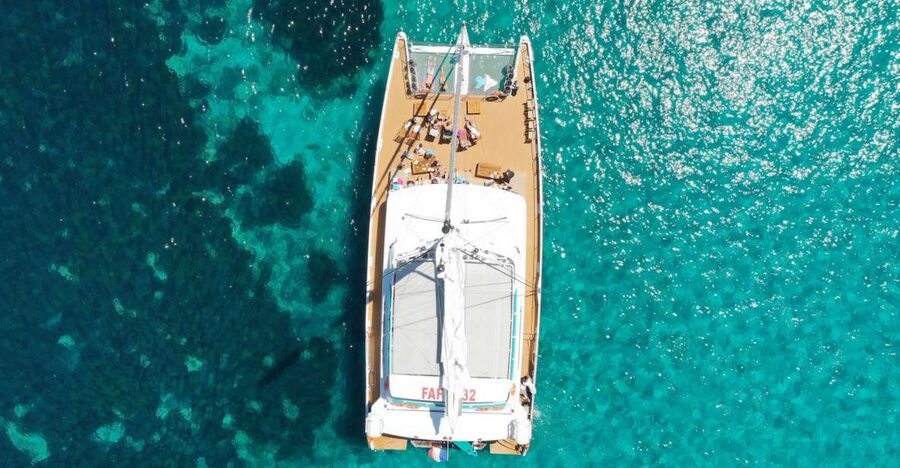 Cannes: Half-Day Catamaran Cruise - A sea afternoon that begins at Sainte-Marguerite Island
