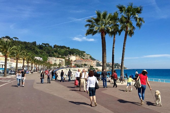 Cannes Large Group Shore Excursion with a Minibus 15 seater - Starting at Cannes Port at 8:30 am