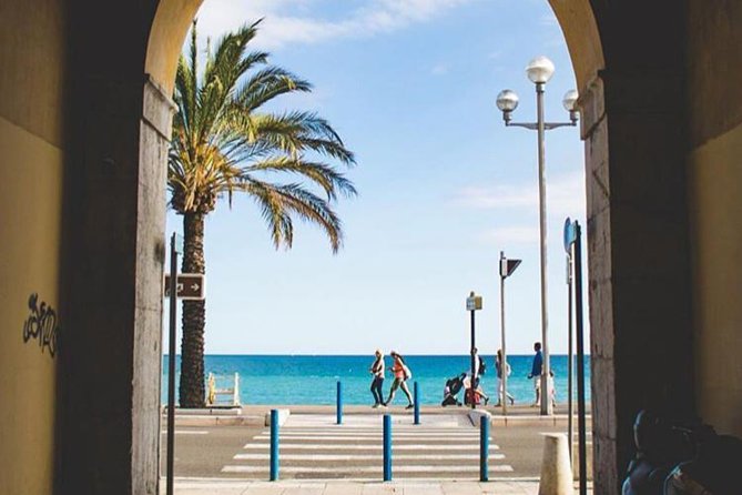 Cannes Large Group Shore Excursion with a Minibus 15 seater - Monaco and Monte-Carlo in two hours