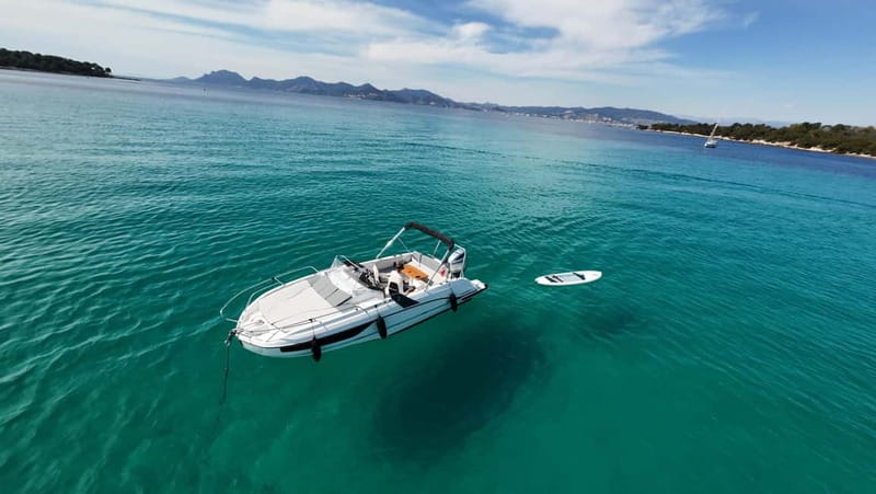 Cannes: Lérins Islands Private Boat Tour - Should you book the Lérins Islands private boat tour?