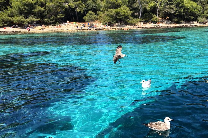 Cannes Private Boat Tour to the Lerins Islands – Relax & Cruise - Wine, floats, and a relaxed afternoon