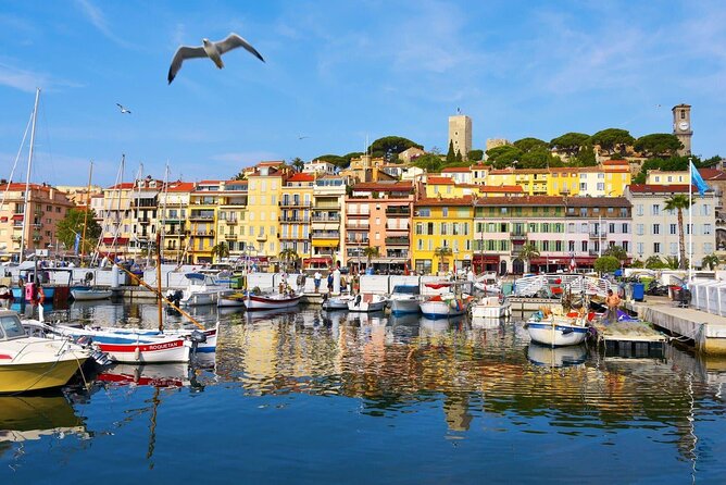 Cannes Private Tour: Film Festival, Secrets & Stunning views - Who should book this Cannes walk?