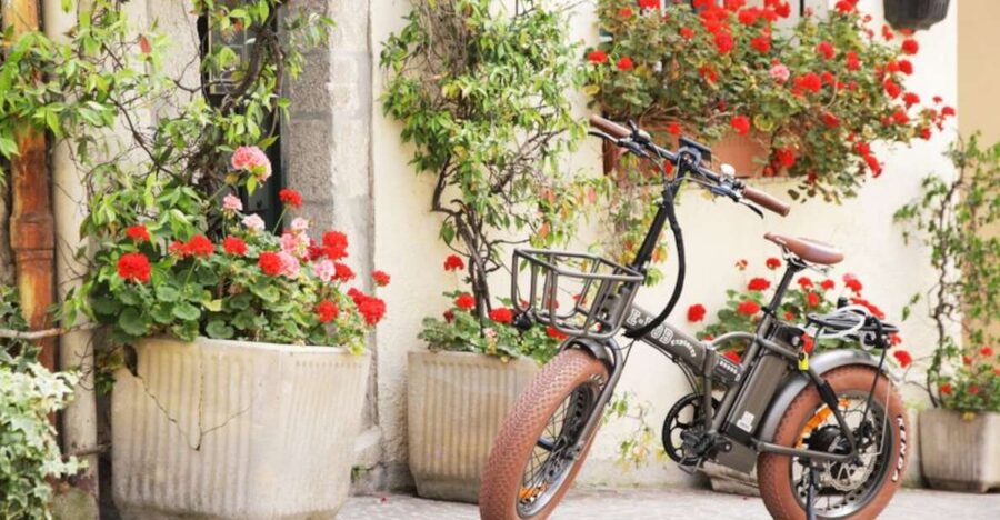 Cannes: rent an E-bike to visit the city - Key points at a glance