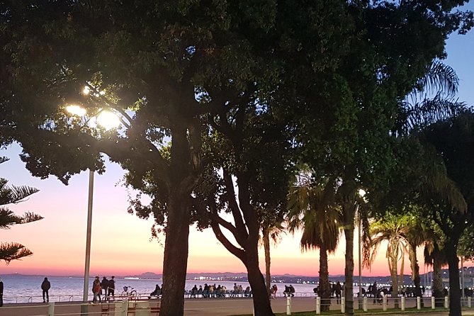CANNES Shore Excursion: French Riviera Highlights with your Guide - A private French Riviera day from the port