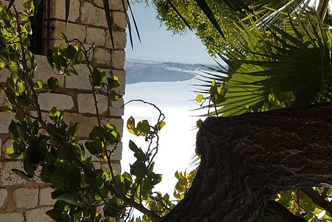 CANNES Shore Excursion: French Riviera Highlights with your Guide - Monte Carlo harbor and casino views