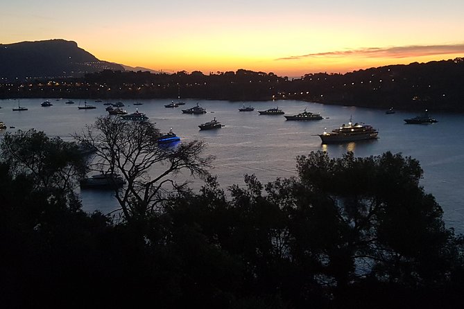 CANNES Shore Excursion: French Riviera Highlights with your Guide - The real value of $1,163.09