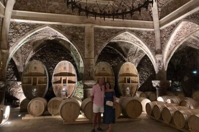 Côtes de Provence Small Group Day Trip with Winery Visits & Tastings from Nice