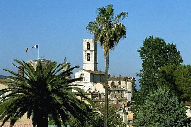 Countryside and Wine Tasting Full-day tour from Cannes - How the small-group format changes the day
