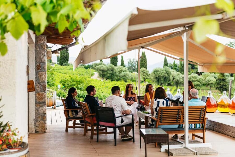 Dinner in the vineyard French Riviera - Who Will Enjoy This Most
