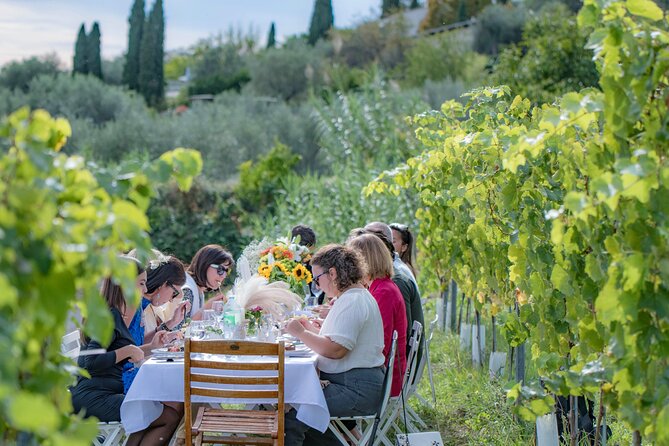 Dinner in the Vineyard French Riviera - A vineyard evening close to Nice