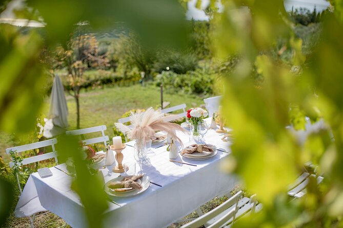 Dinner in the Vineyard French Riviera - Views from the hills above the Riviera