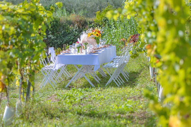 Dinner in the Vineyard French Riviera - Timing, group size, and weather