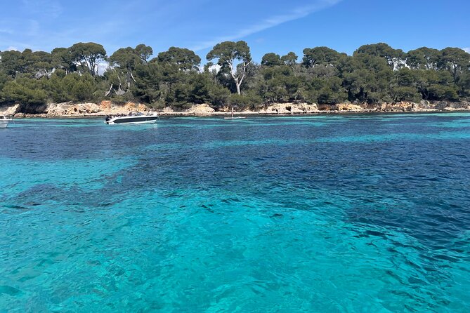 Discover the Lérins Islands and the Bay of Cannes by Private Boat - Sainte-Marguerite: a cove made for swimming