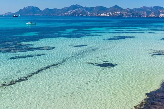 Discover the Lérins Islands and the Bay of Cannes by Private Boat - Saint-Honorat and the island of monks