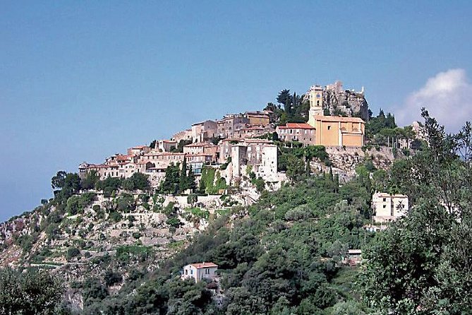 Eze Monaco and Monte-Carlo - private and Guided Half Day Tour - Cruise-port pickup and the tender-boat warning