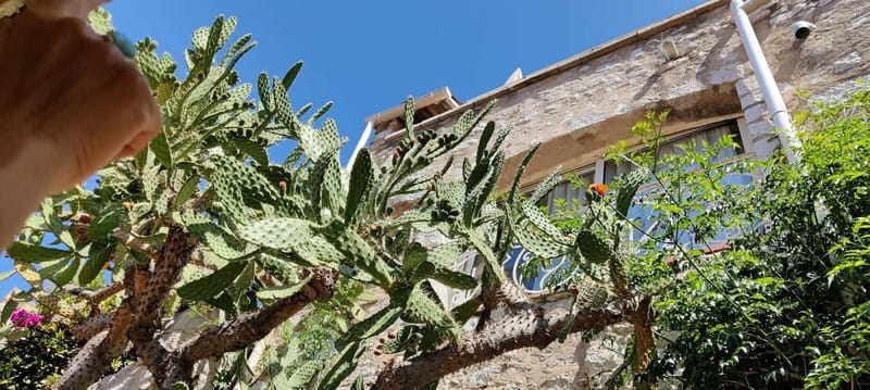Èze: Walking Tour with a Local Guide - Who will enjoy this walk, and who should skip it