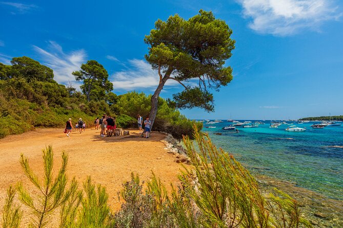 Ferry from Cannes to the island Ste Marguerite - How much value do you get for $24.95?