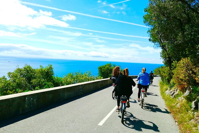 French Riviera Grand Panoramic E-Bike Tour - Mont Boron and Vinaigrier trade city streets for woodland