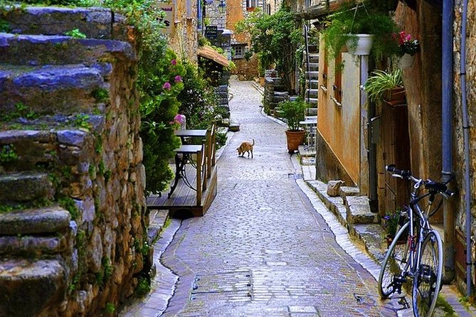 French Riviera & Medieval Villages Full-Day Private Tour - Cannes, from the Film Festival Palace to La Croisette