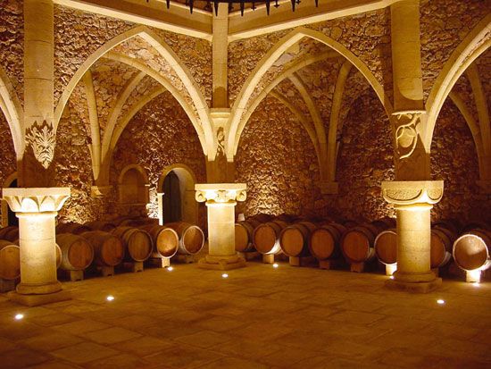 French Riviera: Provencal Wine Tour - Key points at a glance