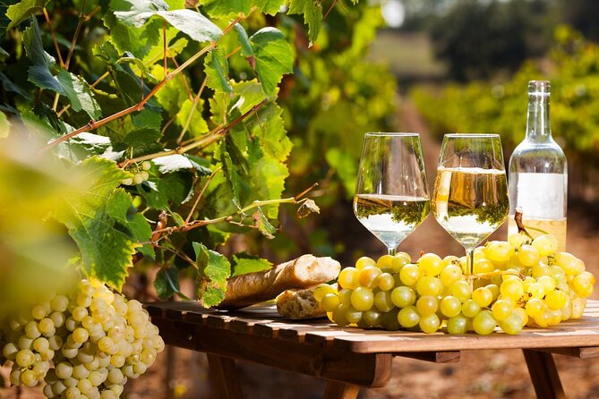 French Riviera, Wine tasting, Provencal market and Countryside - One day, three faces of the Riviera