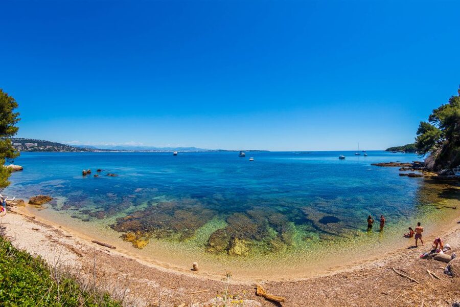 From Cannes: Round-Trip Ferry to Ste. Marguerite Island - Families, dogs, and accessibility