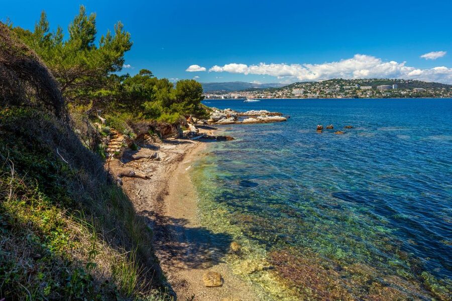 From Cannes: Round-Trip Ferry to Ste. Marguerite Island - The ferry schedule and seasonal differences