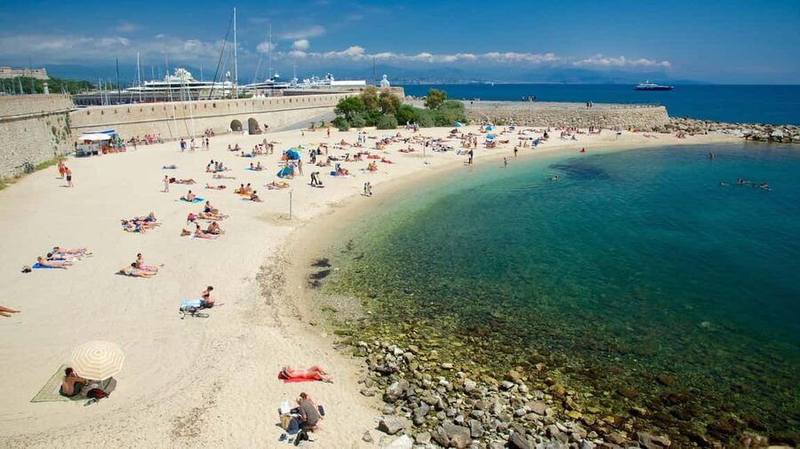 From Nice: Cannes, Saint Paul de Vence and Wine Tasting - Guides, vehicles, and the human side of the day