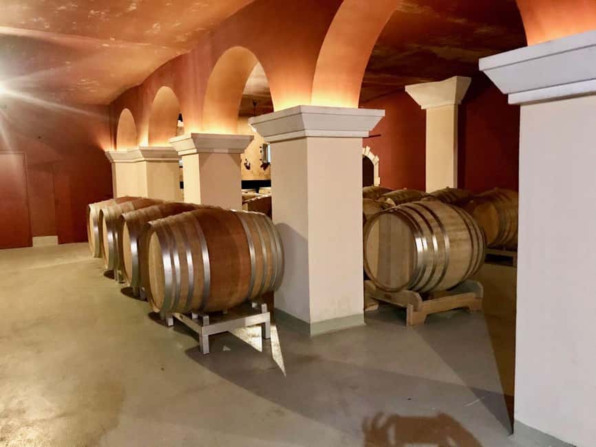 From Nice: Cannes, Saint Paul de Vence and Wine Tasting - How to make the most of the nine hours