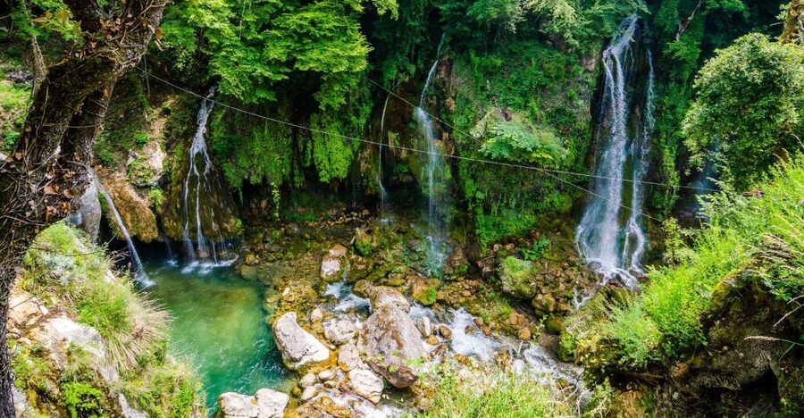From Nice: Flower Fields & Saint Cassien Lake Full-Day Trip - Free time at Saint Cassien Lake