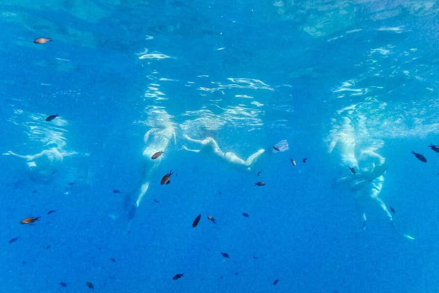 From Nice: French Riviera Swimming and Snorkeling Cruise - Who will enjoy this Nice boat trip most